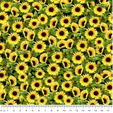 Sunshine and Sunflowers 3013 J